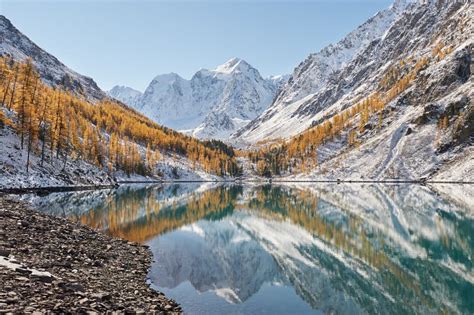 Altai Mountains Russia Siberia Stock Image Image Of Forest Rock