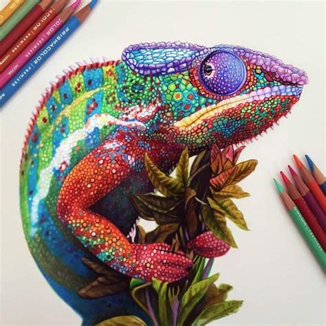 Caméléon By Morgan Davidson Color Pencil Drawing Color Pencil Art
