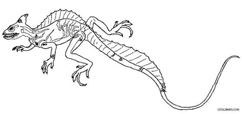 Basilisk Lizard Coloring Pages Coloring Pages