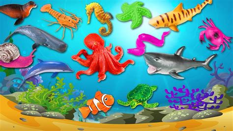Learn Sea Animals Names And Sounds For Kids Children Learn Animals Body