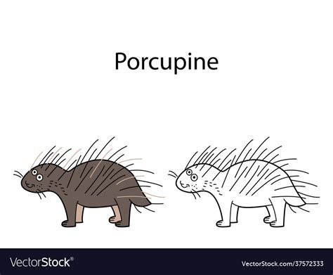 Funny Cute Animal Porcupine Isolated On White Vector Image
