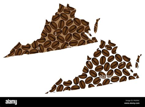 virginia estados unidos de américa mapa de granos de café la commonwealth de virginia mapa