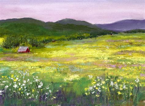 Daily Painters Of Washington Meadow Of Flowers By David Patterson