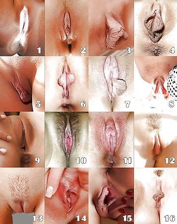 What S Your Favorite Type Of Pussy 8 Pics XHamster Com