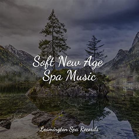 Play Soft New Age Spa Music By Meditative Music Guru Natural Sounds