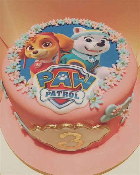 Paw Patrol Skye And Everest Edible Party Cake Topper Decoration