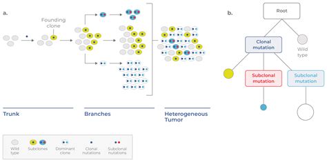 Clonal Evolution In Cancer Learning Center Mission Bio