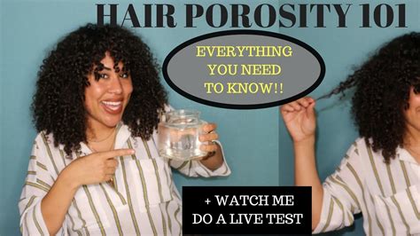 Hair Porosity 101 Everything You Need To Know Live Test On Myself