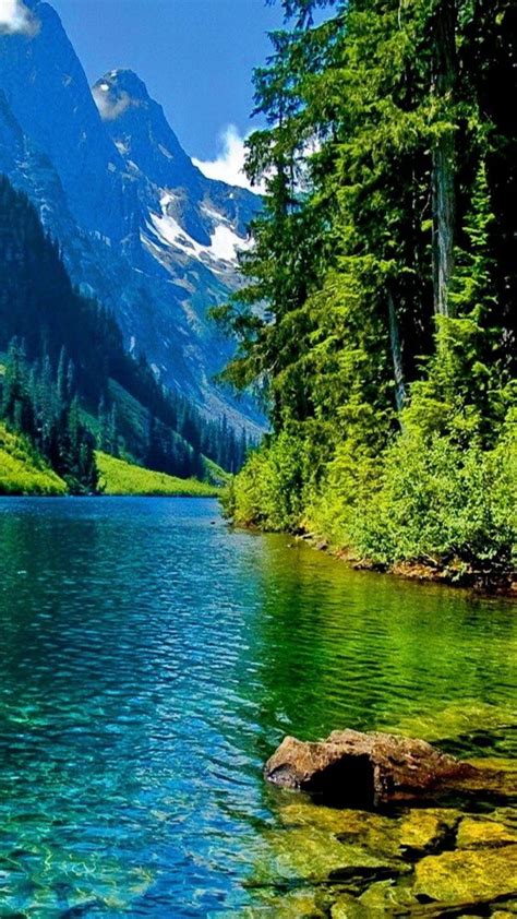 Green Nature Water Wallpapers Top Free Green Nature Water Backgrounds