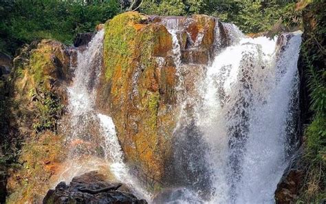 Explore Chikmangalurs Best Kept Secret Kodige Waterfalls Whatshot