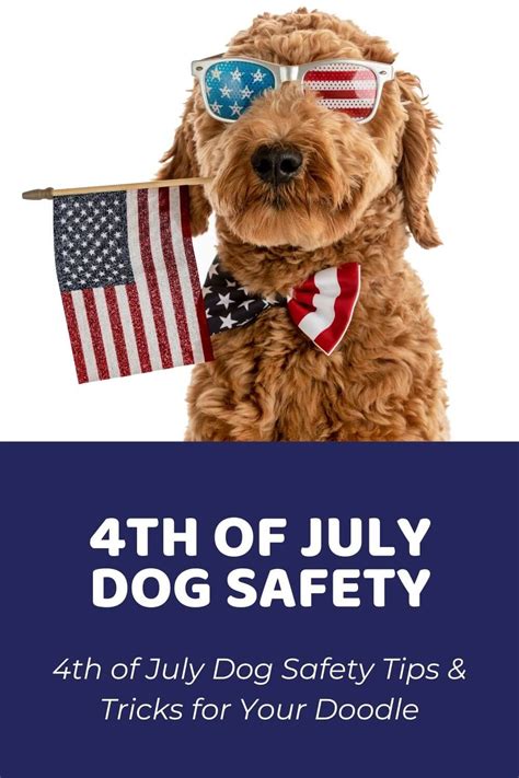 4th Of July Dog Safety Tips And Tricks Doodle Doods