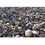 River Pebbles Lucky Stones 75 150mm  Parklea Sand And Soil
