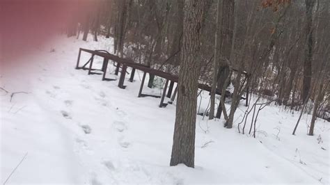 The calyx provides protection and support until the flower is ready to bloom, at which point it sheds away. Pretty winters walk Lincoln RI Blackstone Business Campus ...