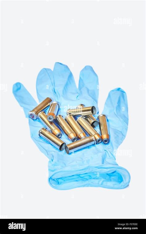 357 Magnum Pistol Cartridges On Latex Gloves Stock Photo Alamy