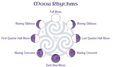 The Moon Cycles And Rhythms Moon Mná Women Moon Circles