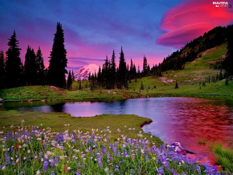 Flowers River Mountains Beautiful Views Wallpapers