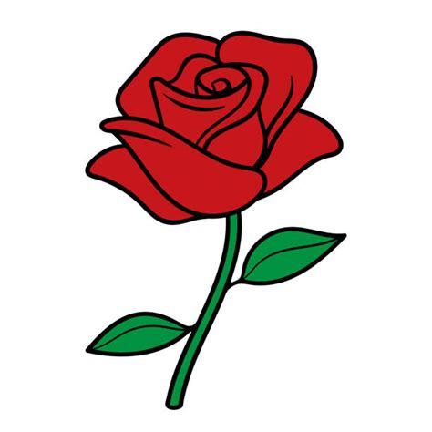 Cartoon Of The Red Rose Roses White Beauty Beautiful Leaf Leaves