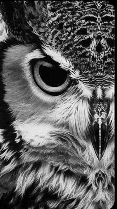Pin By Estela On Animales Owl Artwork Owls Drawing Realistic Owl