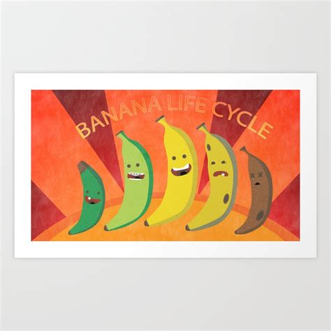 Banana Life Cycle Art Print By Will Blanton Society6