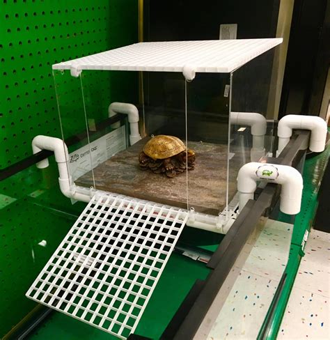 Large Turtle Tower Above Tank Acrylic Model Turtle Basking Etsy In