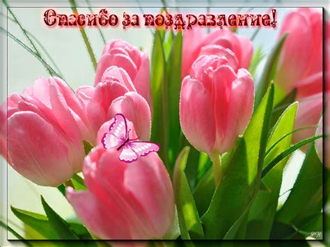 May 25, 2021 · спасибо вам за поздравления! Спасибо за поздравления | Открытки, С днем рождения ...