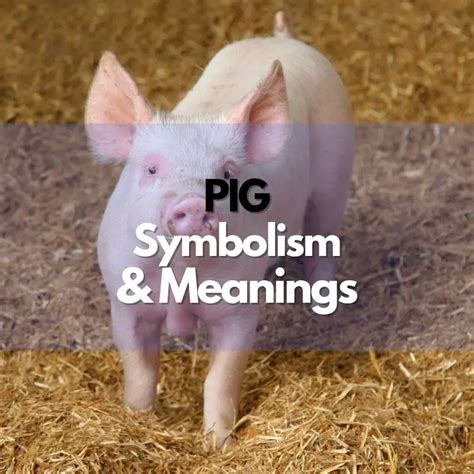 Pig Symbolism Meanings And History Symbol Genie