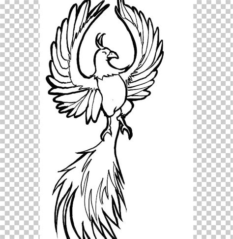 Phoenix Drawing Firebird Line Art Png Clipart Art Artwork Beak