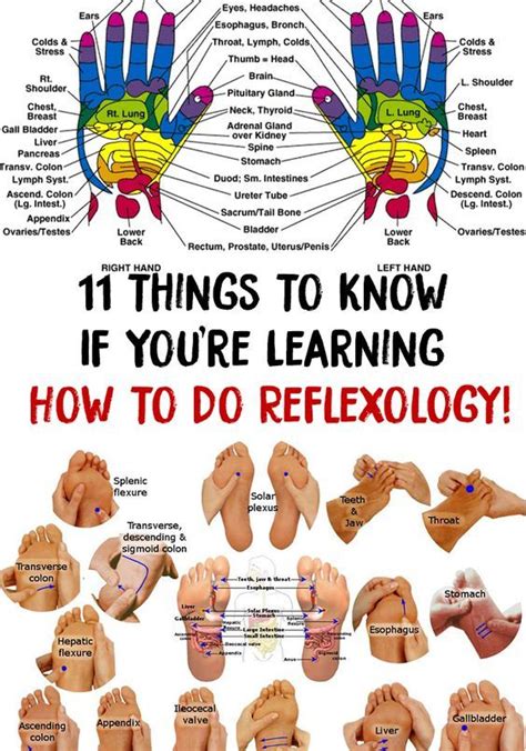 Learning 11 Things To Know If Youre Learning How To Do Reflexology Reflexology Hand