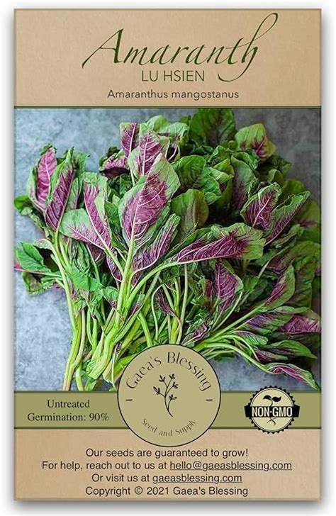 Gaeas Blessing Seeds Green Amaranth Seeds Chinese