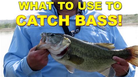 What To Use To Catch Bass How To Bass Fishing Youtube