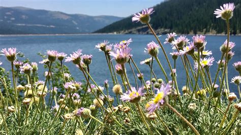 Montgomery Reservoir Andfalls Alma Colorado Youtube