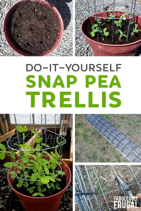 How To Make A Mini Diy Sugar Snap Pea Trellis Fabulessly Frugal In