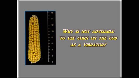 Corn On The Cob As A Vibrator Youtube