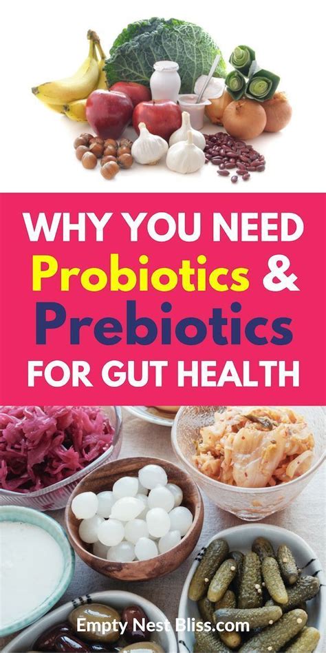 Probiotics Vs Prebiotics What You Need To Know For Gut Health Gut