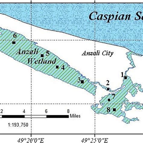 Locations Of The Sampling Sites At The Anzali Wetland Download Scientific Diagram