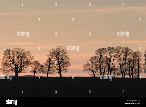 Sunrise Silhouette Trees Hi Res Stock Photography And Images Alamy
