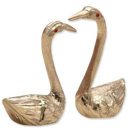 Duck Small Pair At Rs 230piece Z In Jaipur Id 21736106955