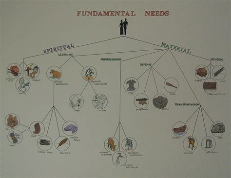 Montessori Nuggets Human Needs And Tendencies 1 Needs