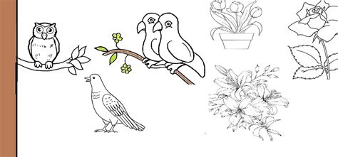 √ 12+ Gambar Flora Dan Fauna Yang Mudah Untuk Di Gambar - Berita