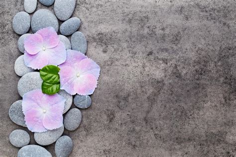 Spa Flowers And Massage Stone On Grey Background Stock Image Image Of Flowers Balance 132768573
