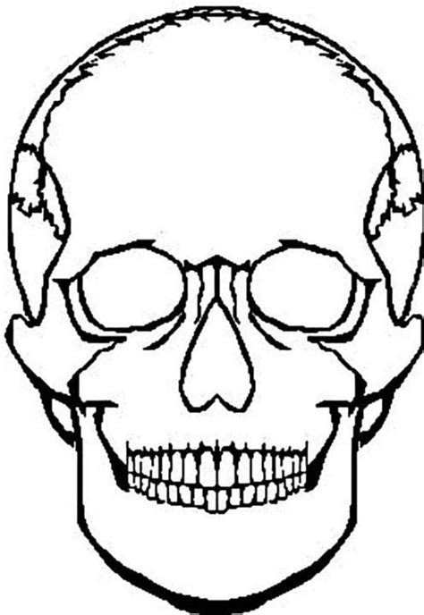 Human Head Skull Coloring Page Coloring Sky