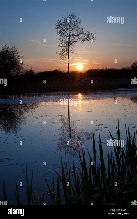 Sunrise Over A Lake Stock Photo Alamy
