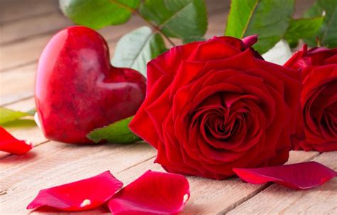 Wallpaper Roses Red Love Buds Heart Flowers Romantic Roses Red