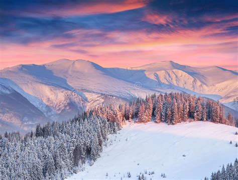 Beautiful Winter Landscape In Mountains Stock Photo