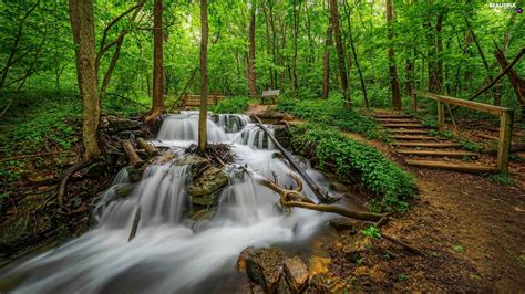 Stairs Forest Waterfall Beautiful Views Wallpapers