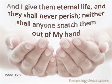 John 1028 I Give Them Eternal Life And They Shall Not Perish None