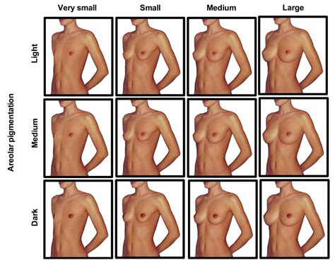 Breast Sizes Naked