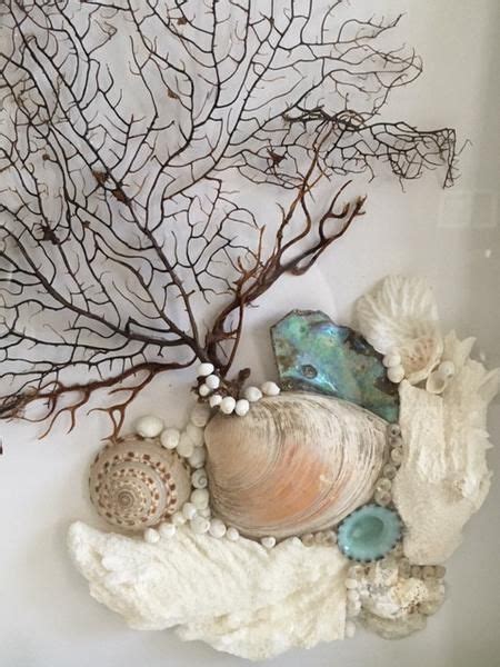 White Shadow Box With Black Seafan Seashells And Coral In White