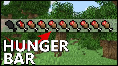 How To Manage The Hunger Bar In Minecraft 120