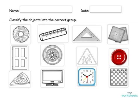 Classifying Objects Worksheets